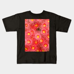 Red Flowering Gum Tree (Eucalyptus phytocarpa) Kids T-Shirt